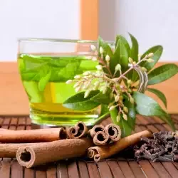 ELMA-TARÇIN BITKI ÇAYI